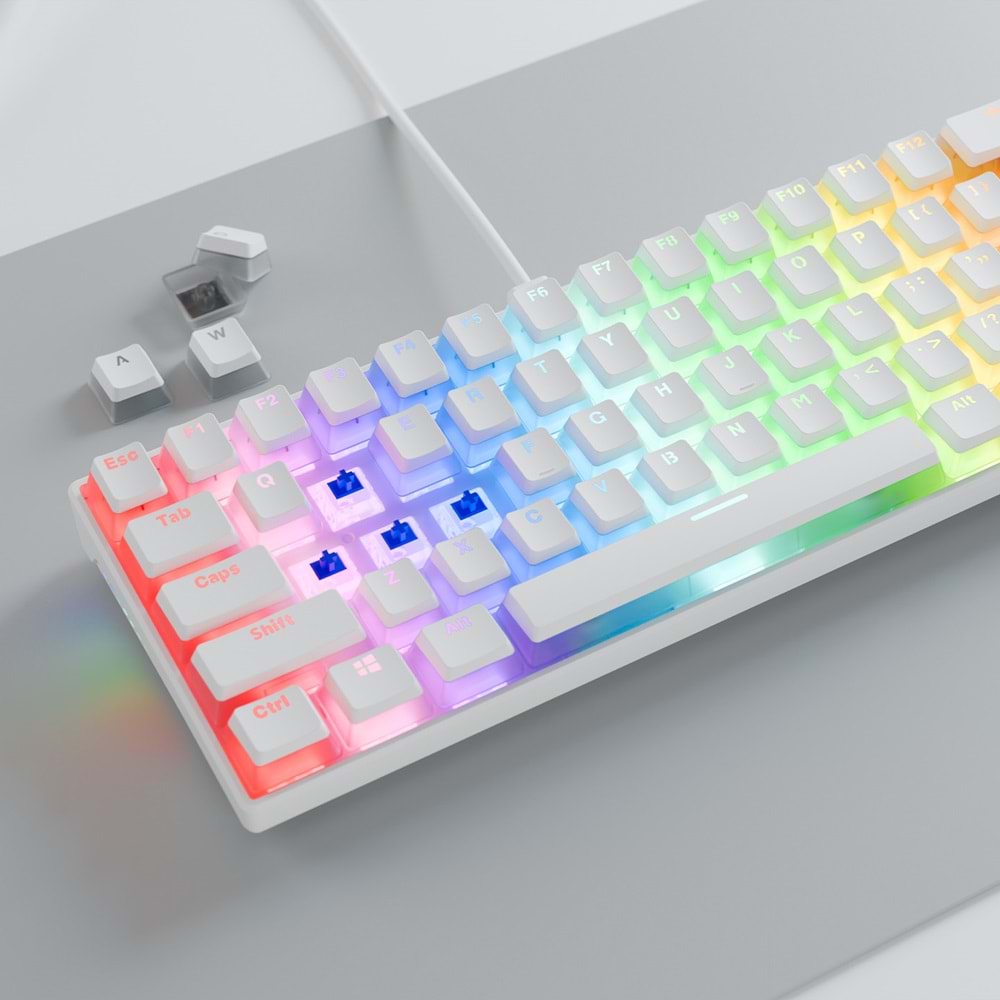 Rampage RADIANT K11 Beyaz Type-C Bağlantılı RGB Puding Tuşlu Gaming Oyuncu Klavye US Layout English Blue Switch Outlet