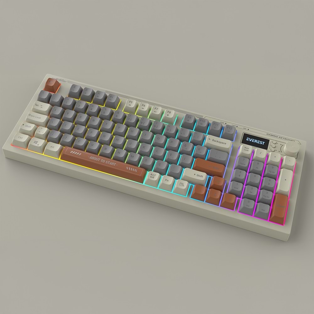 Everest KB-79 SILENT PRO Gri Mavi/Gri/Kahve SESSİZ RGB Q Membrane Oyuncu Klavyesi