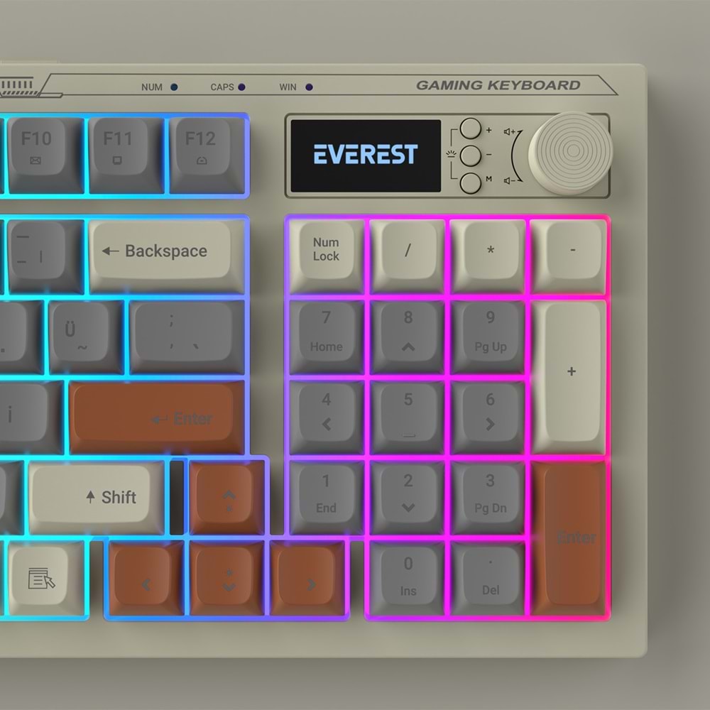 Everest KB-79 SILENT PRO Gri Mavi/Gri/Kahve SESSİZ RGB Q Membrane Oyuncu Klavyesi