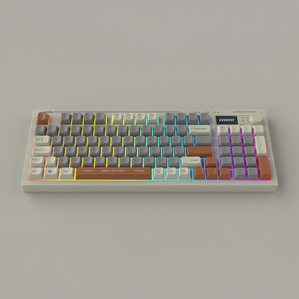 Everest KB-79 SILENT PRO Gri Mavi/Gri/Kahve SESSİZ RGB Q Membrane Oyuncu Klavyesi