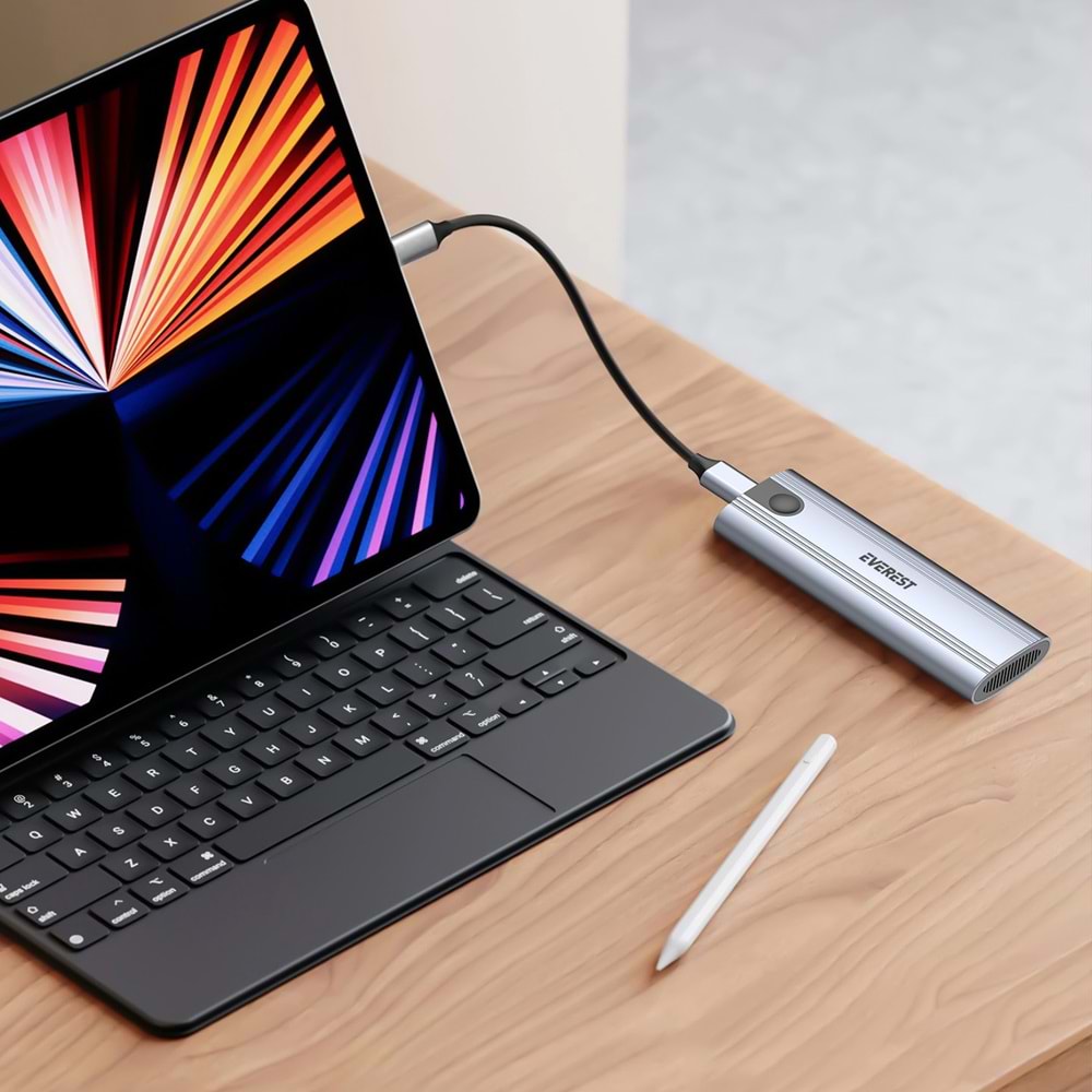 Everest HDC-M225 Harici USB-C PCIe NVMe M.2 SSD Hdd Kutusu