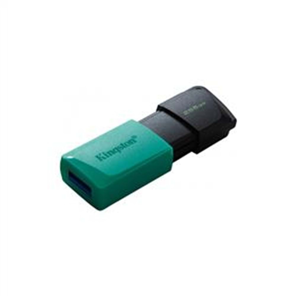 Kingston DataTraveler Exodia 256GB USB 3.2 Flash Bellek DTXM/256