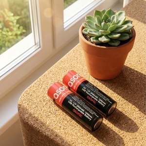 Asonic PL1400 AA 1.5V 1400mAh Type-C USB Şarjlı 2'li Pil