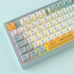 Everest KB-79 SILENT PRO Mavi/Beyaz/Sarı SESSİZ RGB Q Membrane Oyuncu Klavyesi
