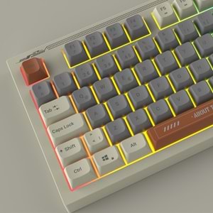 Everest KB-79 SILENT PRO Gri Mavi/Gri/Kahve SESSİZ RGB Q Membrane Oyuncu Klavyesi