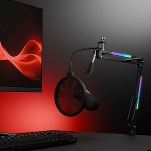 Rampage ARPEJ Siyah RGB Standlı Ses Göstergeli USB Masaüstü Oyuncu Mikrofonu