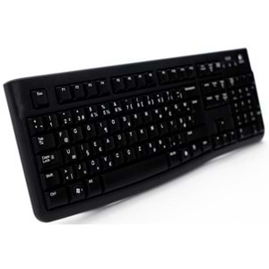 Logitech K120 Türkçe F Klavye(920-004163)