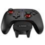 Joystick & Gamepad